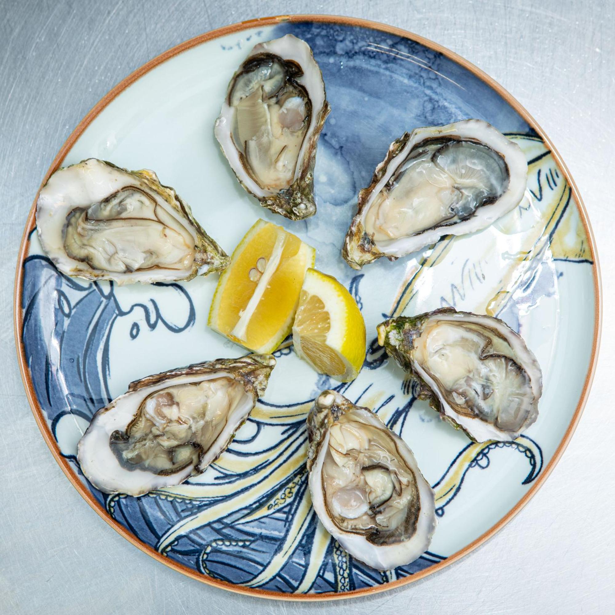 דינגל Ashes Seafood Restaurant Accommodation מראה חיצוני תמונה